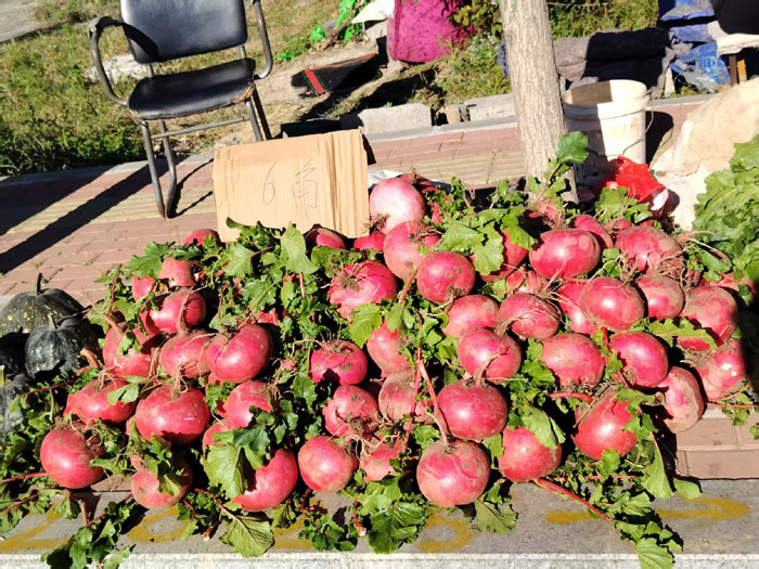 營口市大菜市今天開幕
